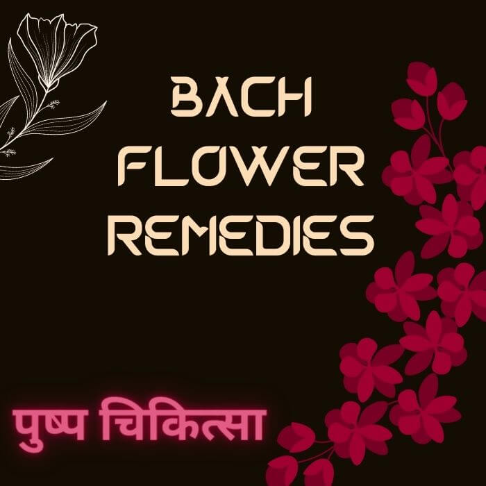 bach flower remedies