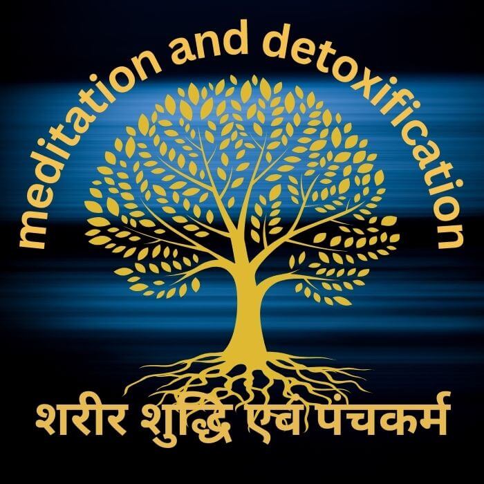 detoxification and panchkarma